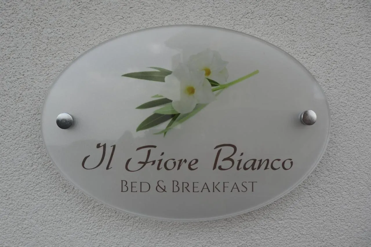 Il Fiore Bianco Capo dʼOrlando