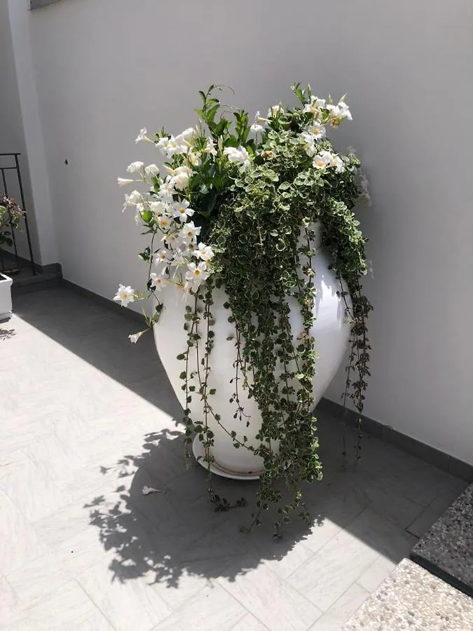 Bed & Breakfast Il Fiore Bianco Capo dʼOrlando